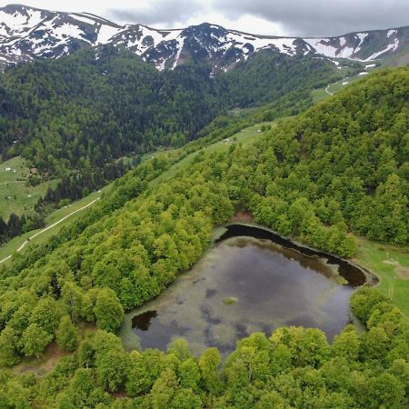 Willa Rakovic Katun - Biogradska Gora Accomodation Berane Zewnętrze zdjęcie