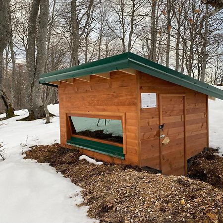 Willa Rakovic Katun - Biogradska Gora Accomodation Berane Zewnętrze zdjęcie