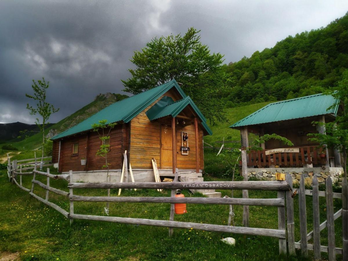 Willa Rakovic Katun - Biogradska Gora Accomodation Berane Zewnętrze zdjęcie