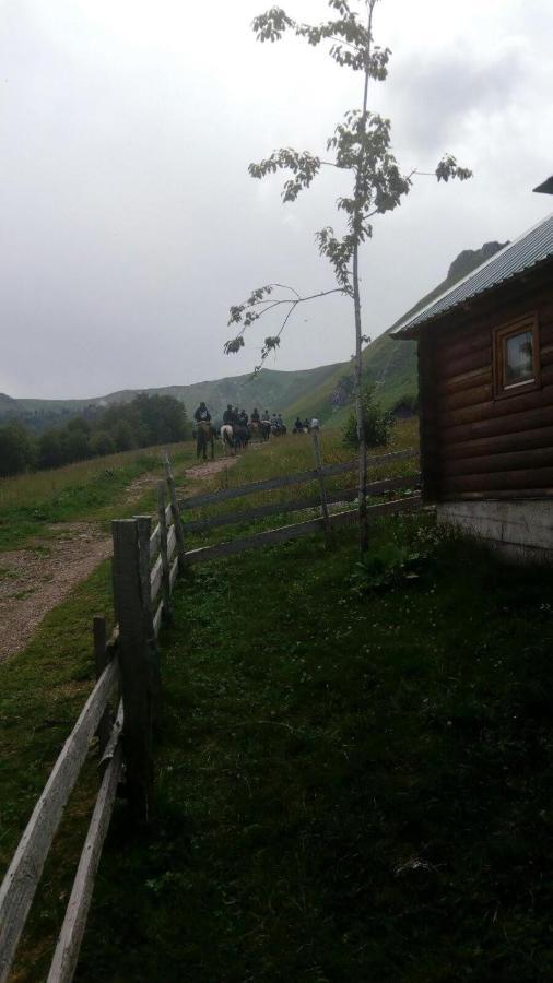 Willa Rakovic Katun - Biogradska Gora Accomodation Berane Zewnętrze zdjęcie