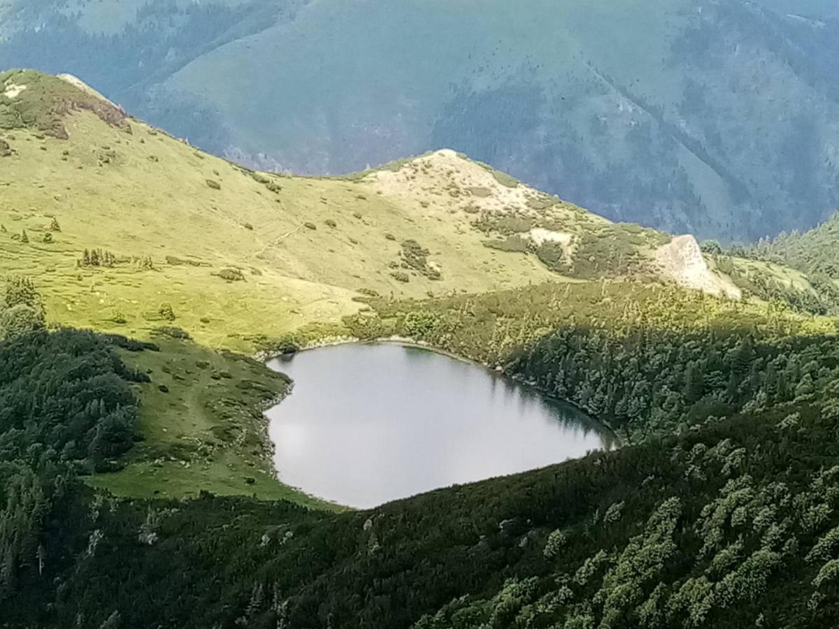 Willa Rakovic Katun - Biogradska Gora Accomodation Berane Zewnętrze zdjęcie