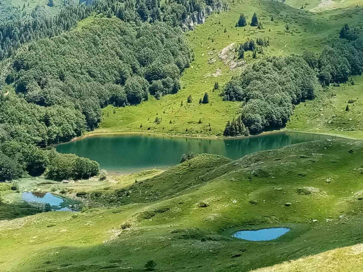 Willa Rakovic Katun - Biogradska Gora Accomodation Berane Zewnętrze zdjęcie