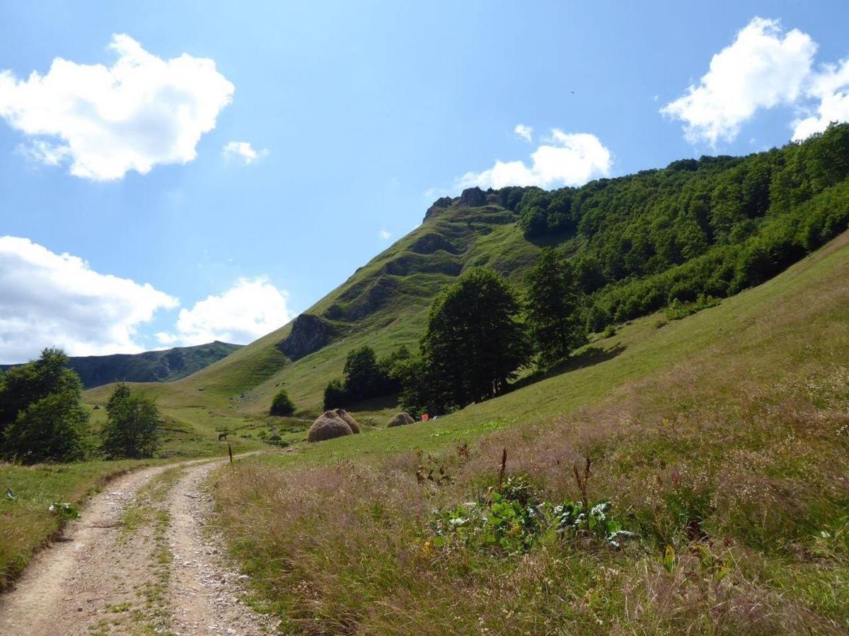 Willa Rakovic Katun - Biogradska Gora Accomodation Berane Zewnętrze zdjęcie