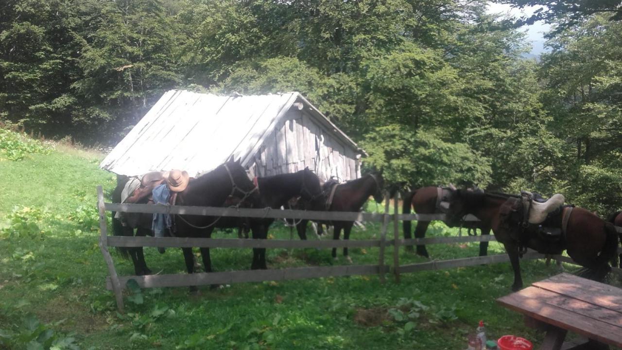 Willa Rakovic Katun - Biogradska Gora Accomodation Berane Zewnętrze zdjęcie