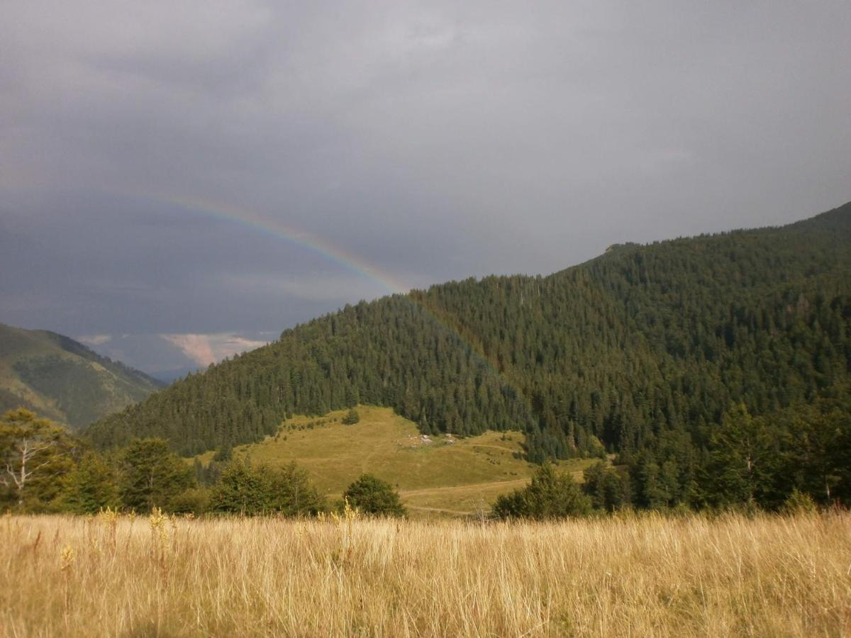 Willa Rakovic Katun - Biogradska Gora Accomodation Berane Zewnętrze zdjęcie