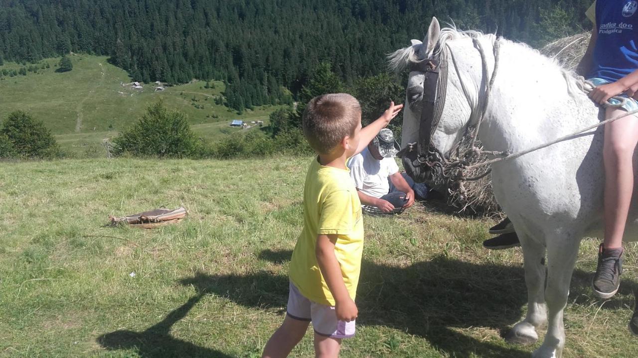 Willa Rakovic Katun - Biogradska Gora Accomodation Berane Zewnętrze zdjęcie