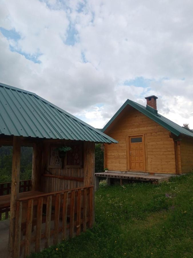 Willa Rakovic Katun - Biogradska Gora Accomodation Berane Zewnętrze zdjęcie