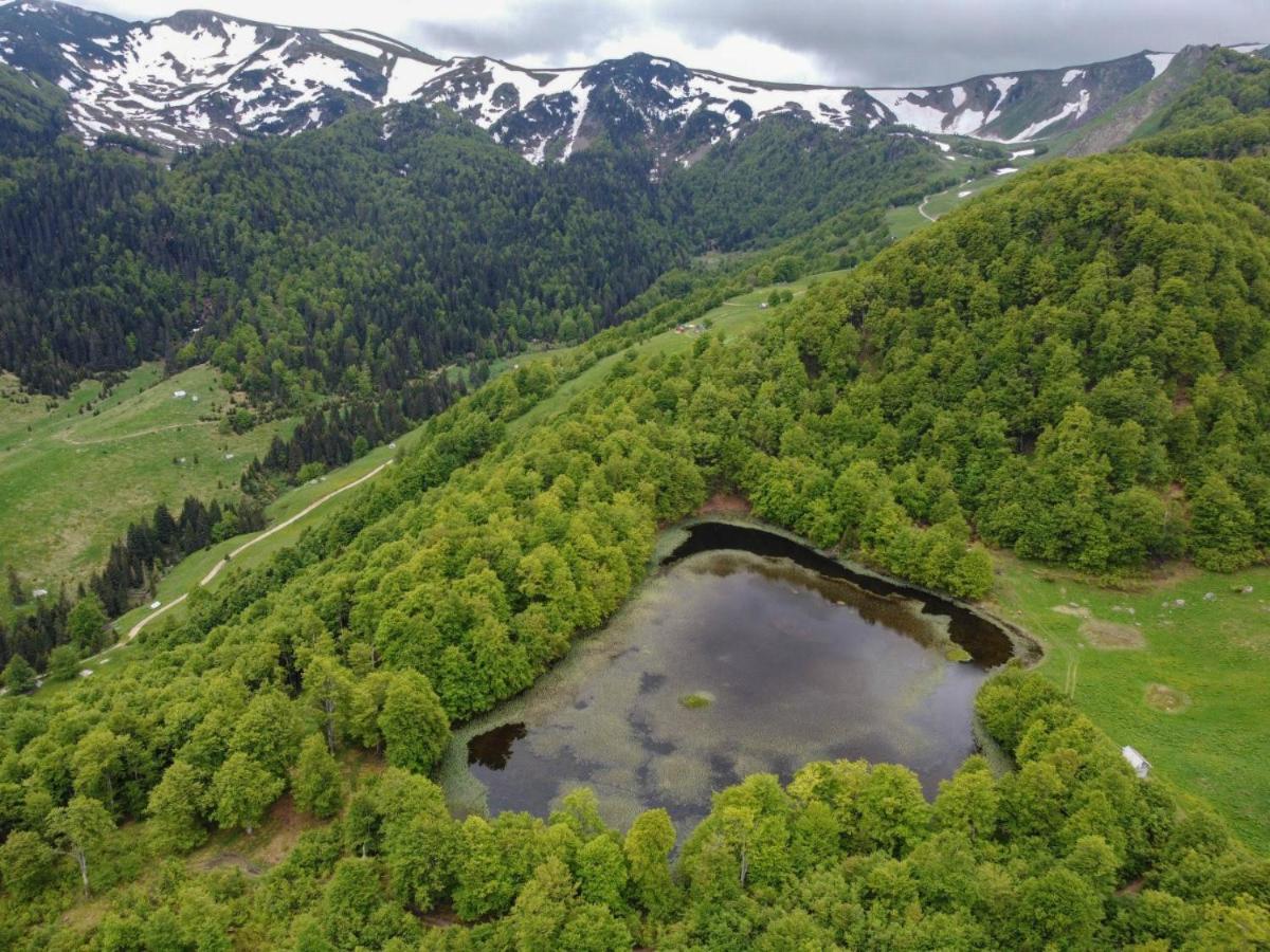 Willa Rakovic Katun - Biogradska Gora Accomodation Berane Zewnętrze zdjęcie